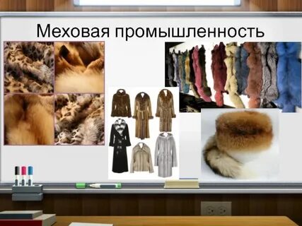 Легкая промышленность меха