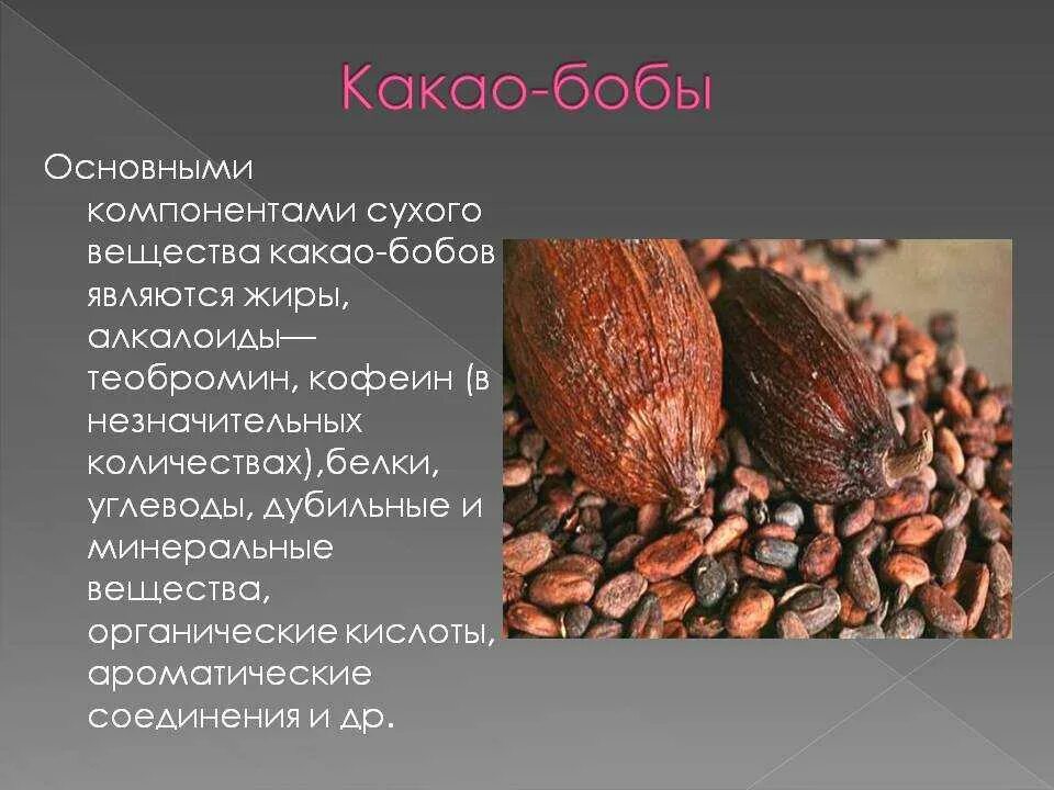 Kakao map