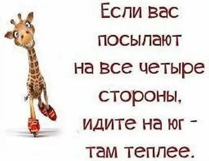Пойти на 4 стороны
