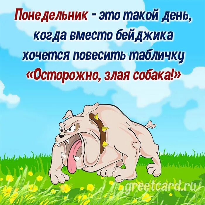 Когда день такой. Злые открытки понедельник. злой понедельник. понедельник понедельник. день.