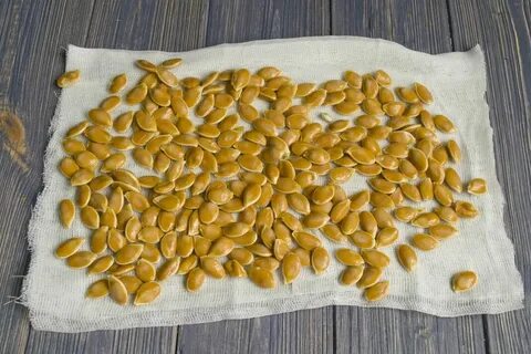 Как засушить семена