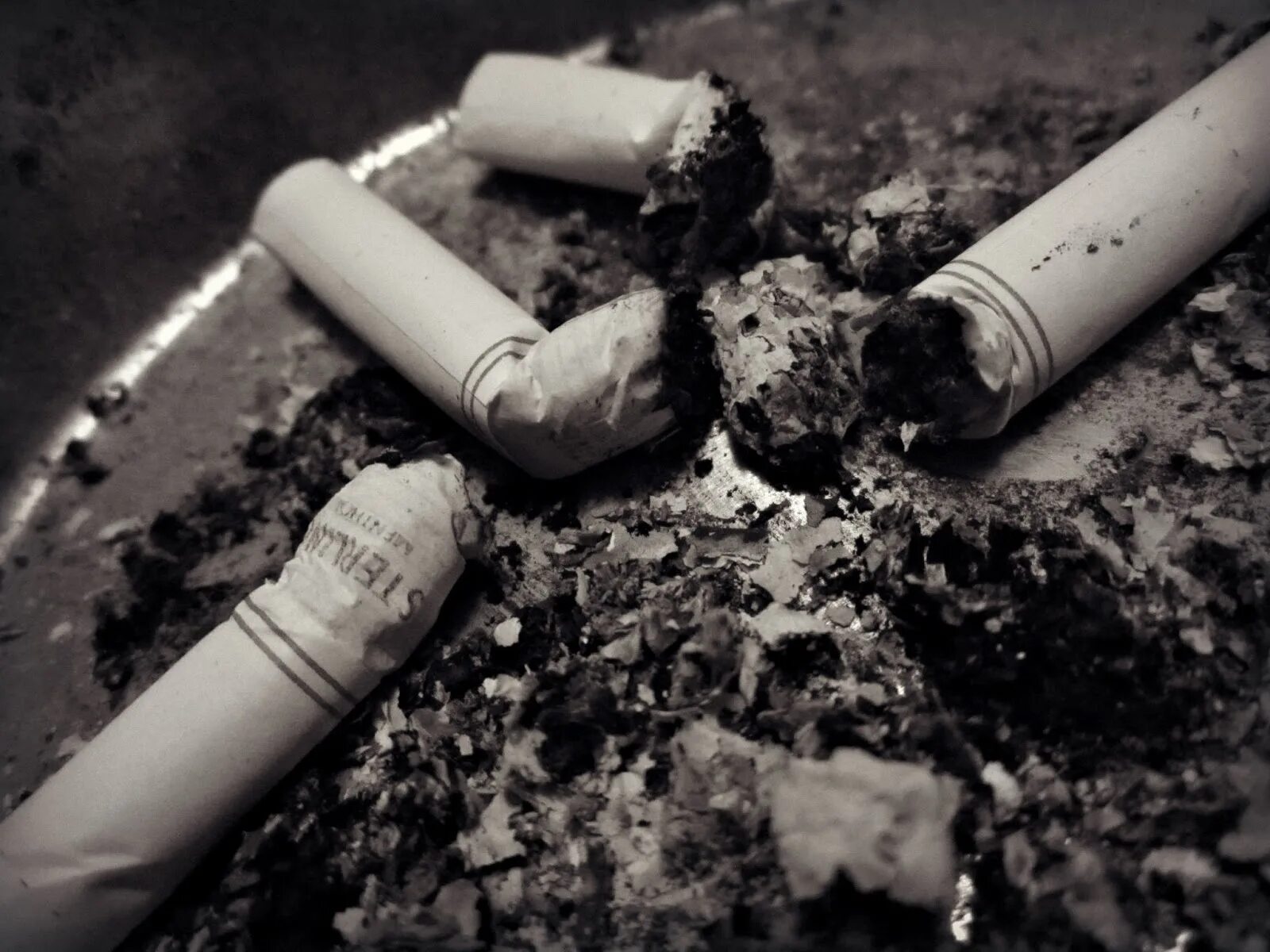 Сигареты купить пепел. Пепел сигареты. Окурок пепел. Сигара и сигарета. Табакокурение.