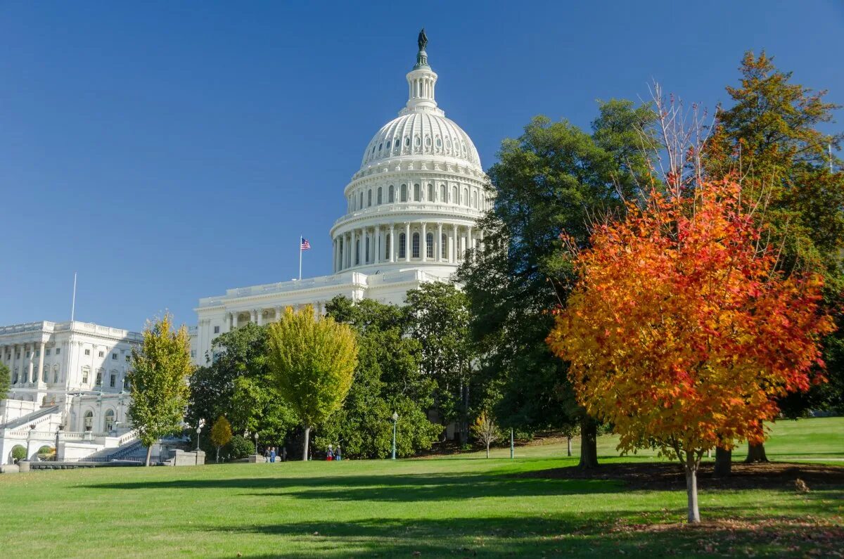 Washington is capital of usa. Вашингтон город столица США. Капитолий штата Вашингтон. Столица США-Вашингтон, округ Колумбия.. Вашингтон ДС город.