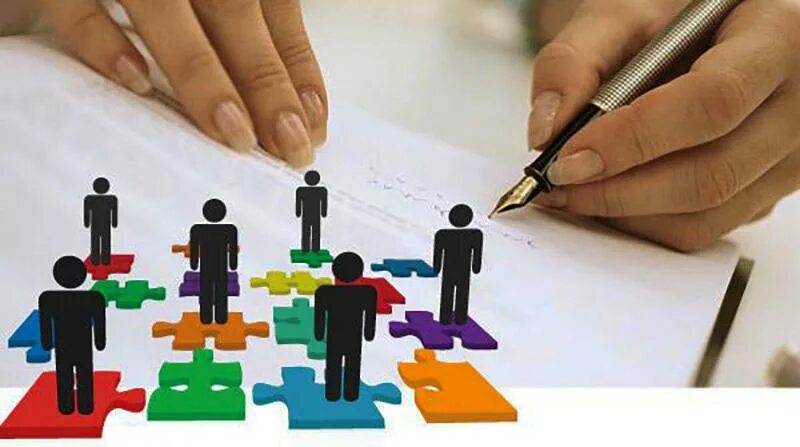 Audit organization