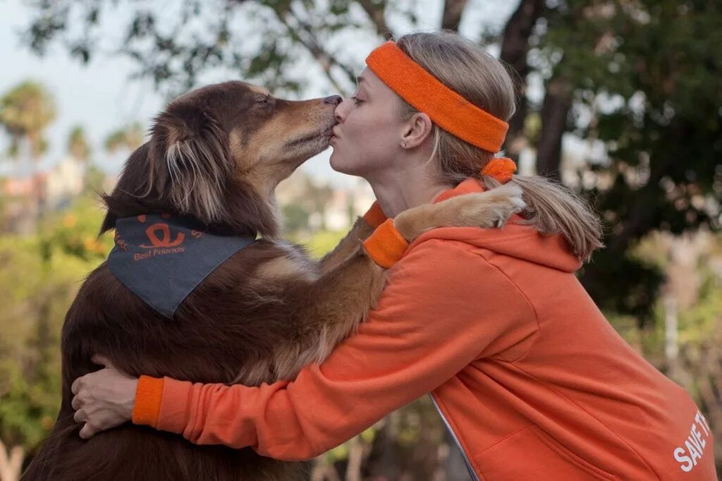 Счастливая пара с собакой картинки. Девушка с лабрадором. Человек с собакой. Семья с собакой. Собака.