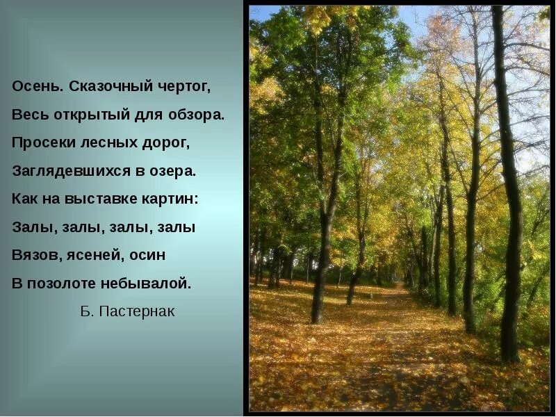Осенняя природа словами