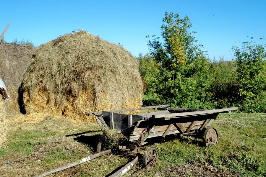 Калязин. Скирда. Стог.. Лето в деревне сенокос. Деревня сено. Стог сена в деревне. Сено дон