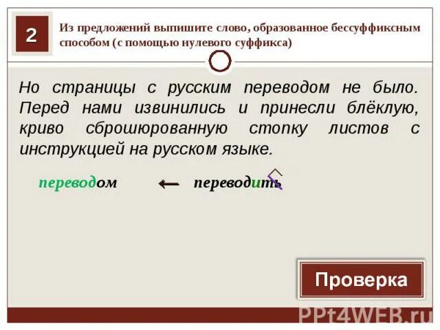 Из предложения выпишите термин