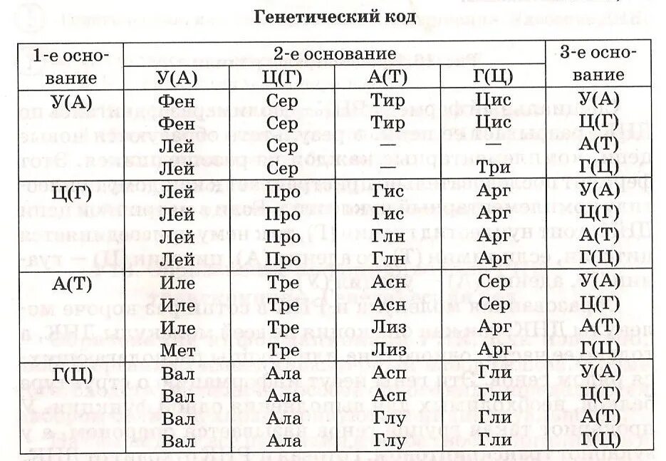 Ала арг гис