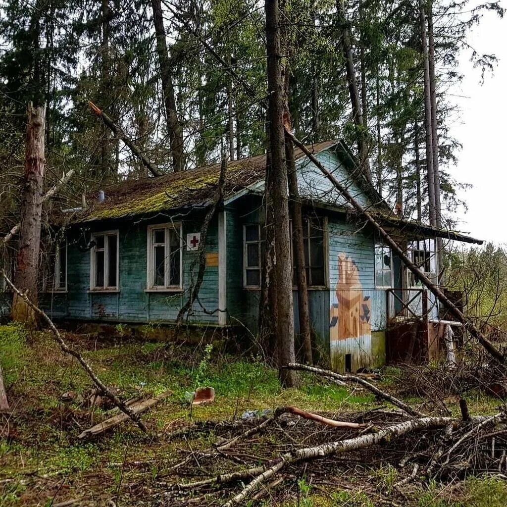 Л лесной