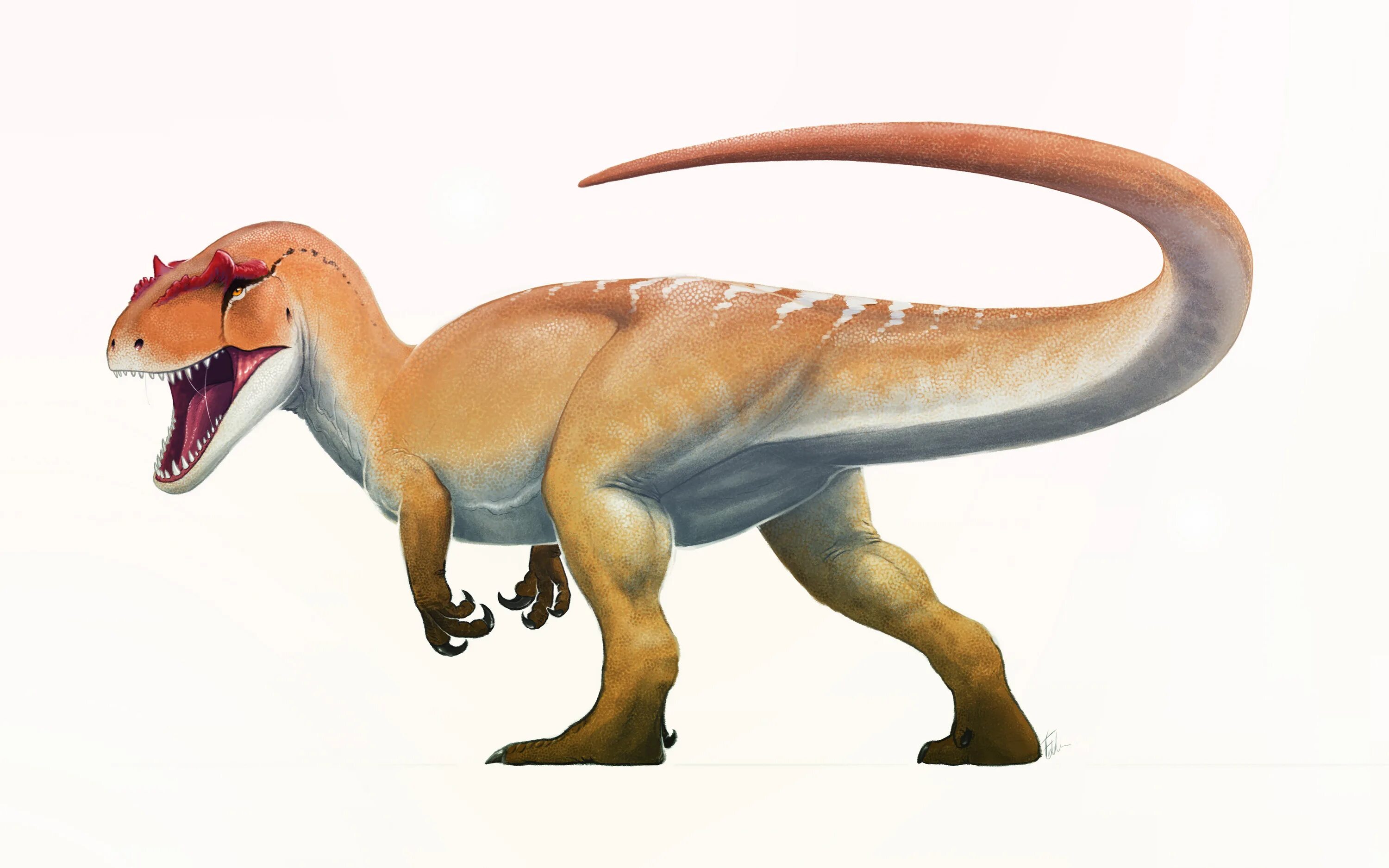 Аллозавр арт. Аллозавр FREDTHEDINOSAURMAN. Аллозавр - хищный динозавр. Теропод Юрского периода. Большой ал 2