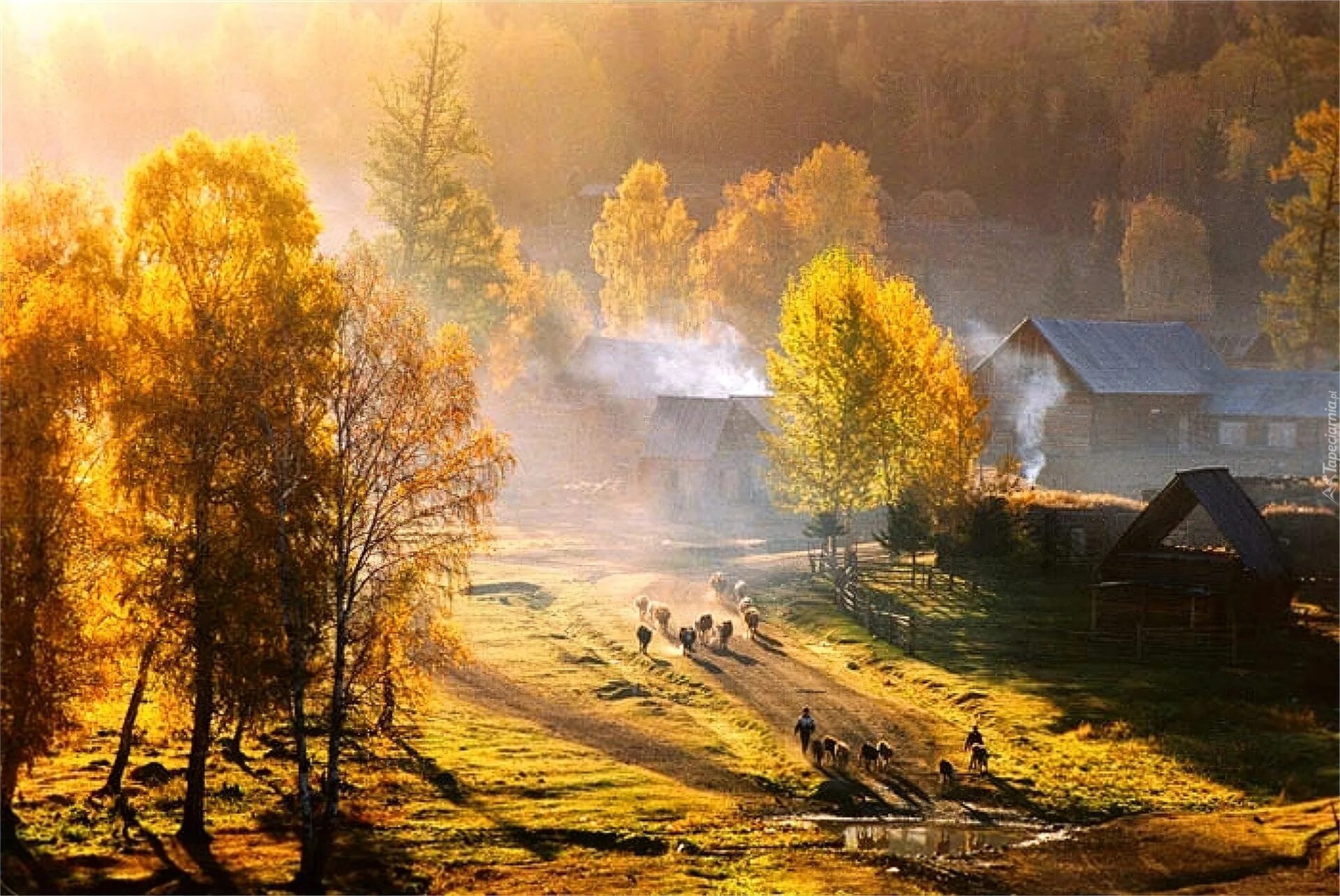 Мало тепло деревня. Осень в деревне. Утро в деревне. Осенний деревенский пейзаж. Деревня осенью.