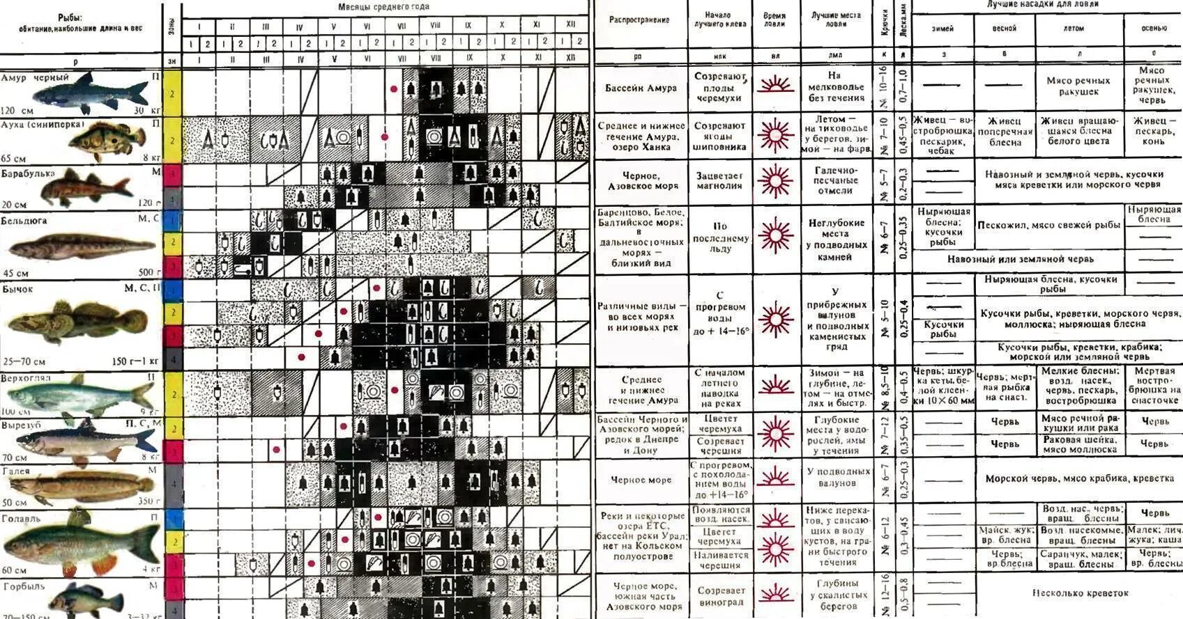 Клев рыбы весной. Таблица давления для ловли рыбы. Таблица давления ловли рыбы зимой. Таблица клева щуки. Давление для рыбалки на щуку.