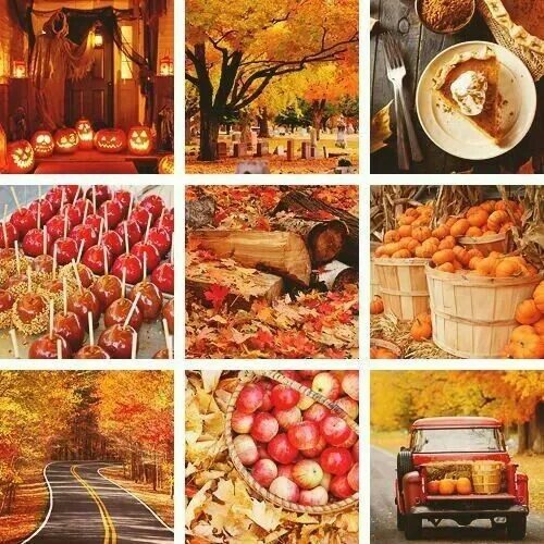 Philip didn t like autumn. Предметы ассоциирующиеся с осенью. какие предметы ассоциируются с осенью. autumn magic bags.