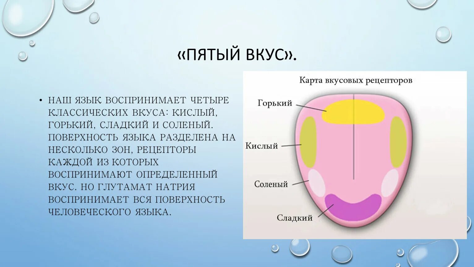 Какой участок языка воспринимает. Вкусовые зоны языка. Вкусовые рецепторы на языке человека. 5 Вкусовых рецепторов у человека. Вкусовые рецепторы на языке схема.