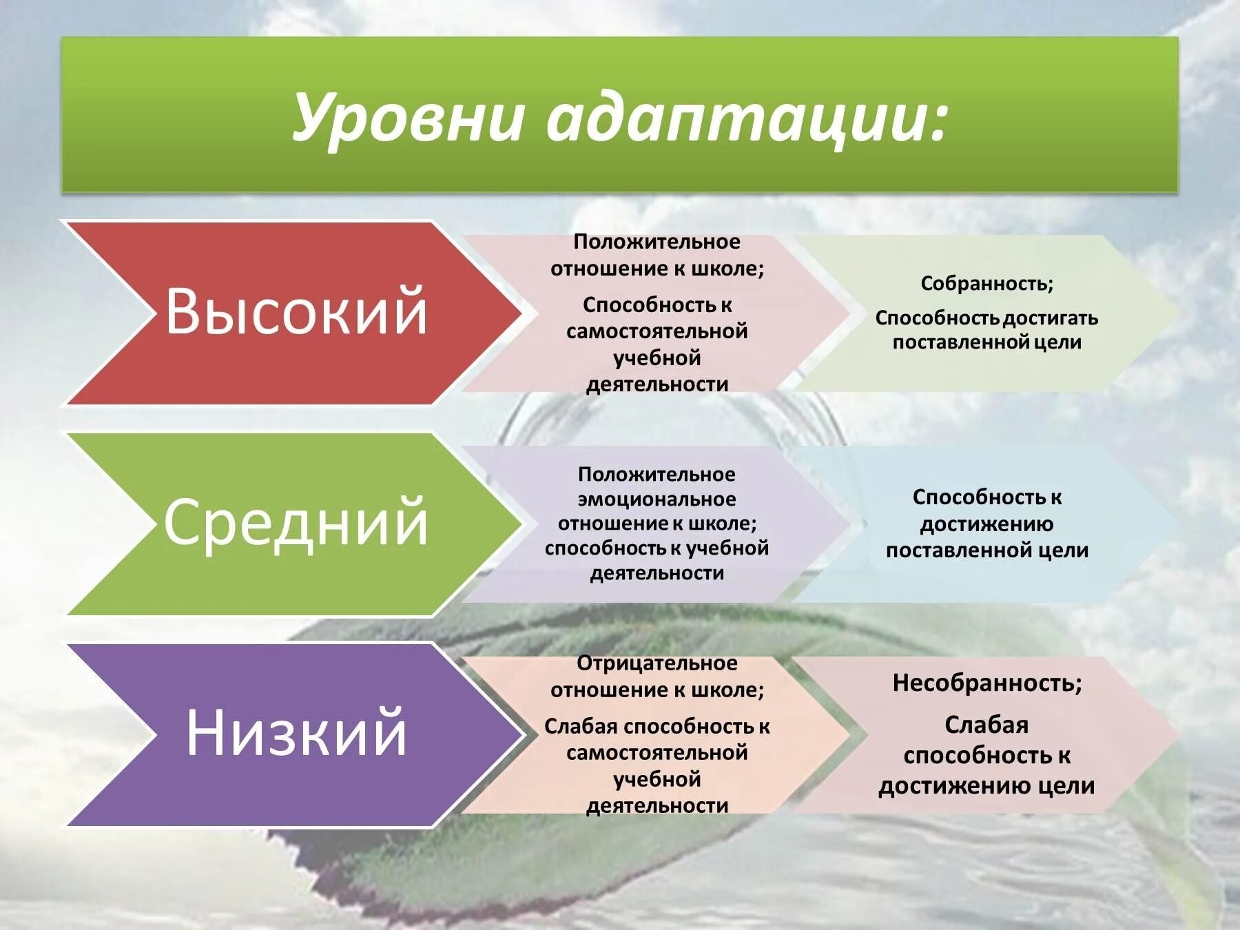 Методика школа отношение к школе. Уровни адаптации. Уровни адаптации детей к школе. Средний уровень адаптации. Уровни социальной адаптации.