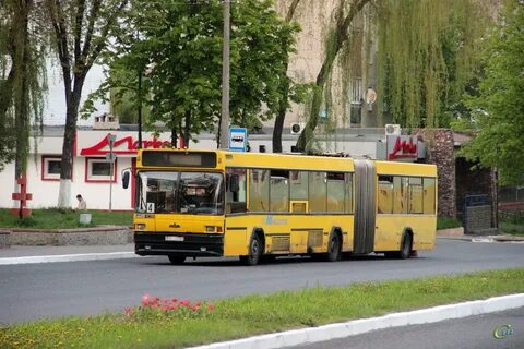 Москва мозырь автобус