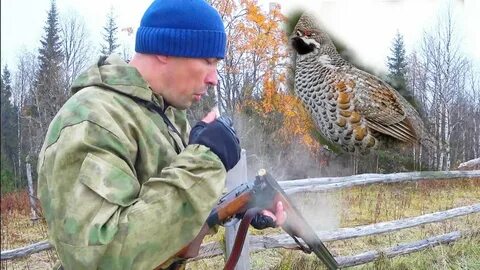 Охота рыбалка пижма