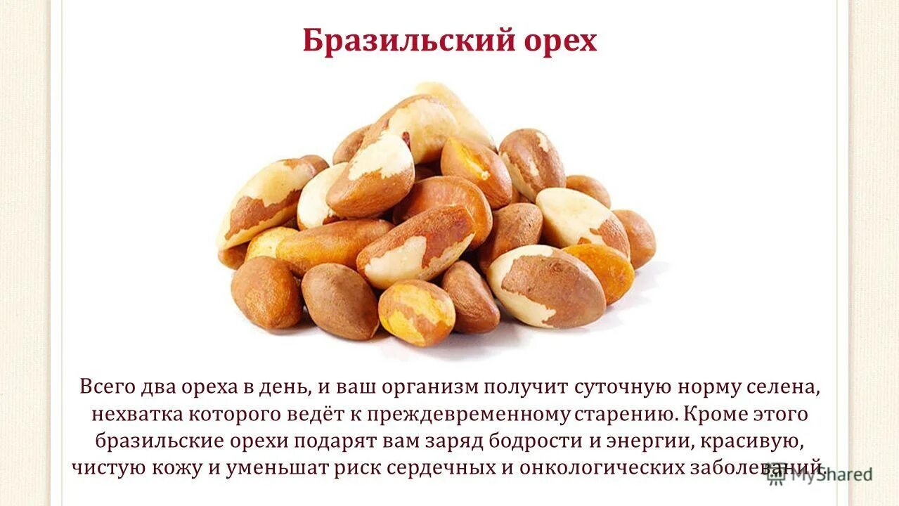Бразильский орех состав. Бразильский орех селен. Бразильский орех химический состав. Бразильский орех содержание цинка. Бразильский орех состав.