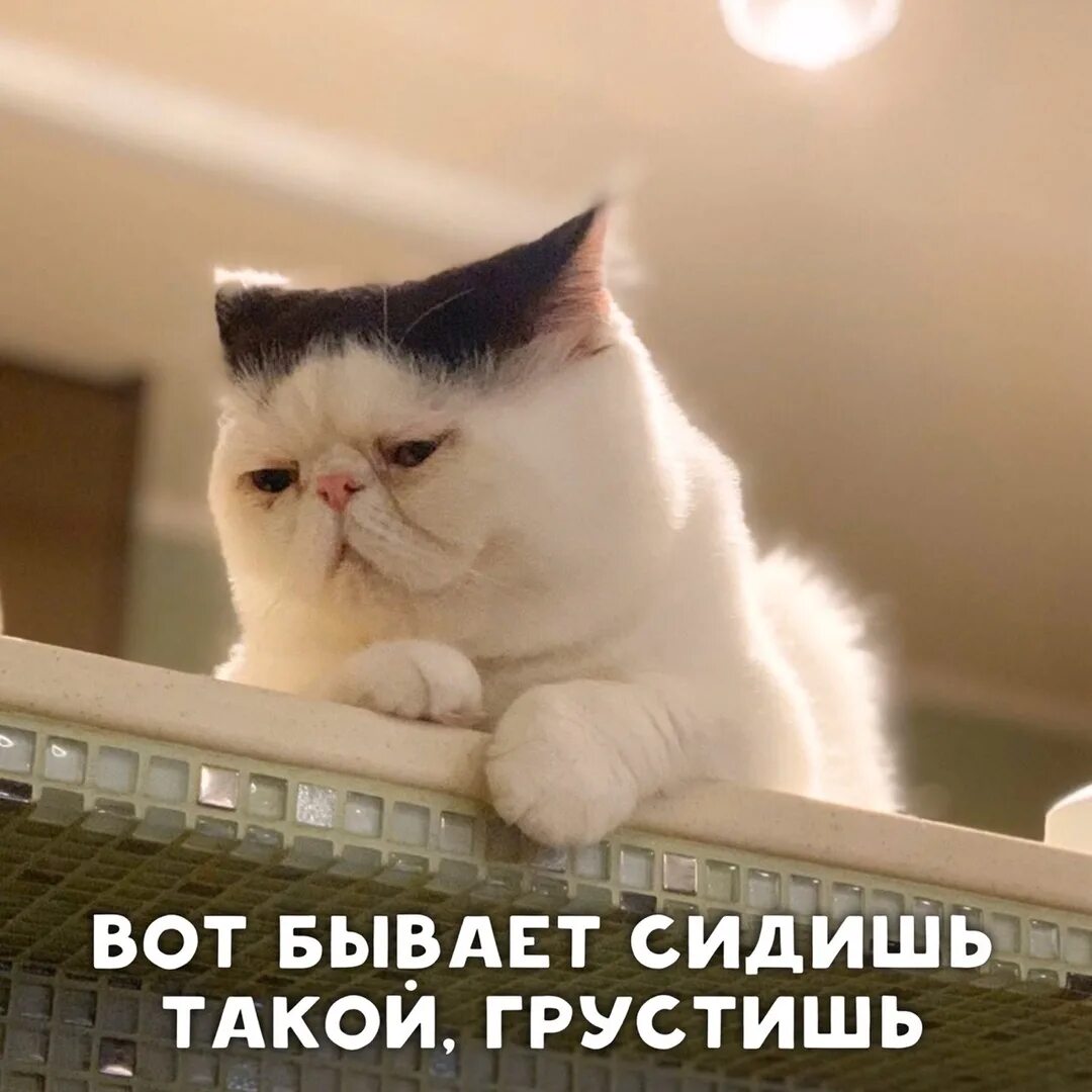 Как перестать грустить если мне нравится. Прекрати грустить. перестаю грустить. перестань грустить. прекращай грустить.