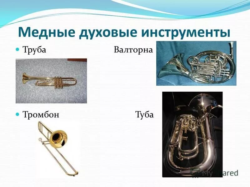 медный духовой инструмент 5 букв