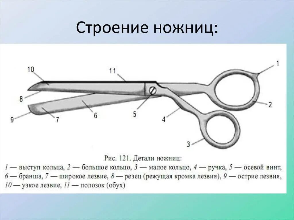 Какие ножницы