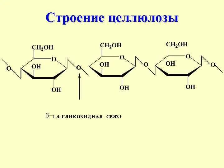 Линейное строение целлюлозы. Строение целлюлозы формула. Структурное строение целлюлозы. Циклическое строение целлюлозы. Клетчатка строение и функции