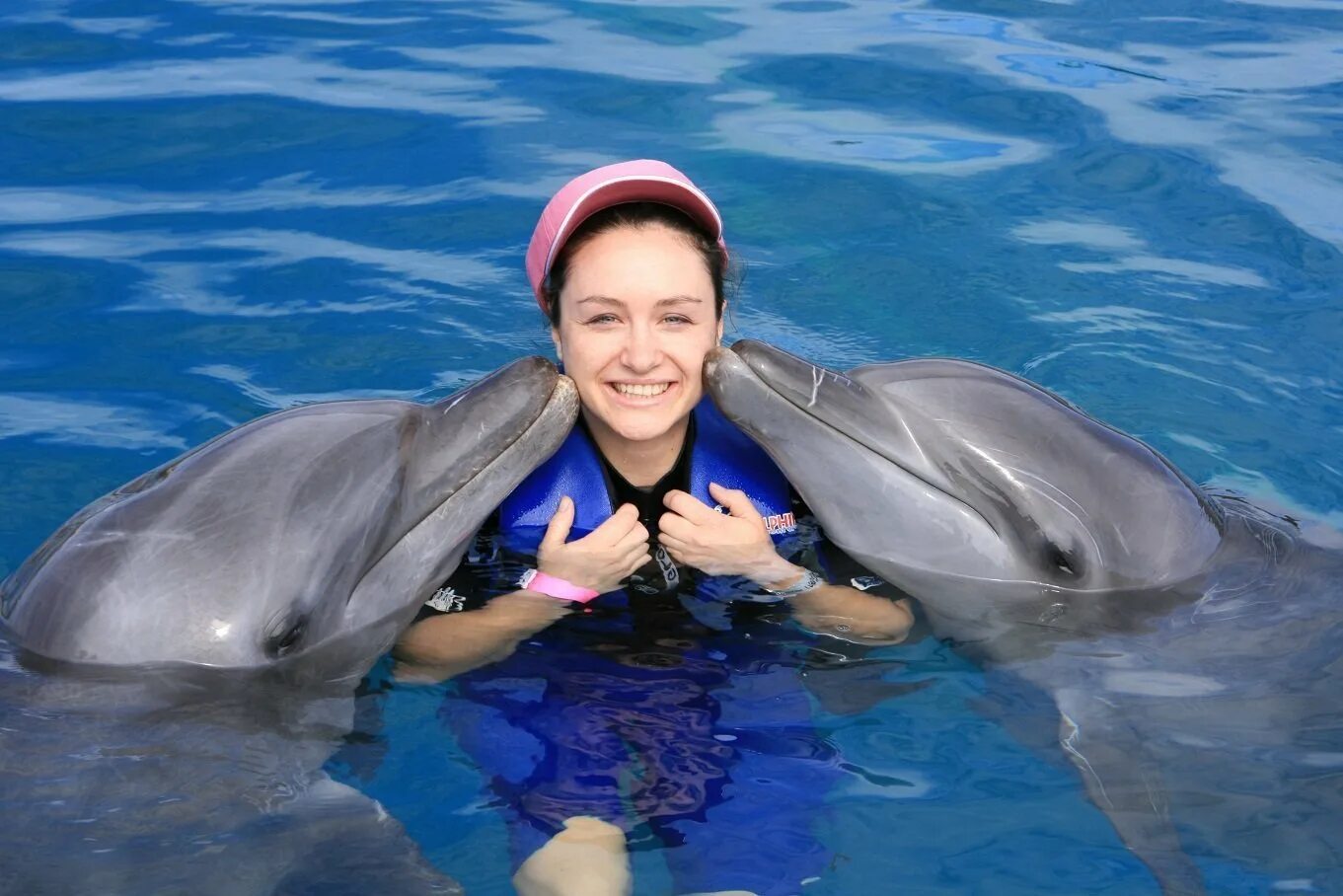 Фотография дельфина