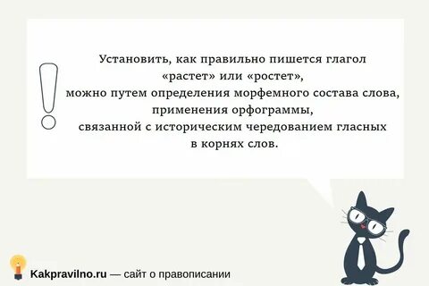 Примет участие как пишется правильно