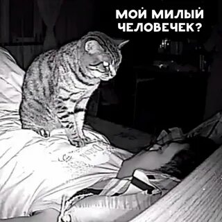 Москва есть проснувшийся