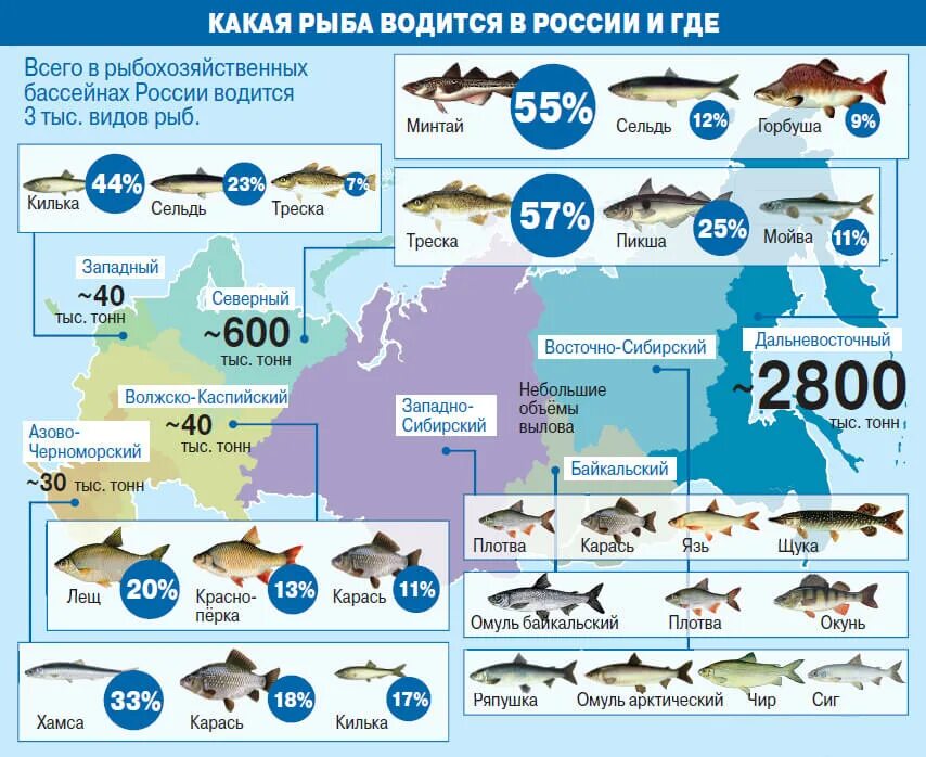 Рыбная карта России. Рыболовство в России карта. Карта России рыбные места. Виды рыб.