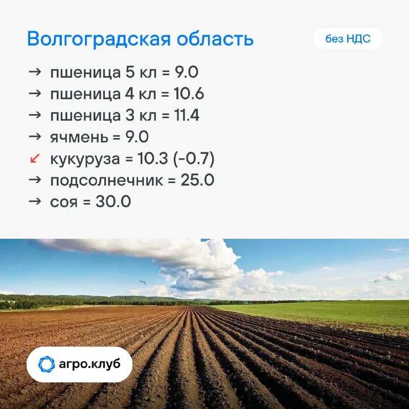 Агроклуб усадьба. Хутор махин. Хутор махин ростовская область. Агро клуб. Агроклуб воронеж.