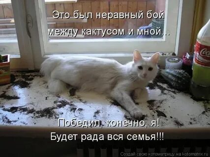 Смешные картинки с надписями сегодня