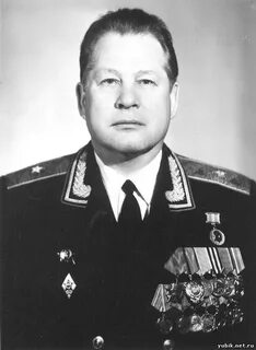 Васильевич википедия