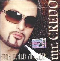 Белый лебедь кредо. Кредо стая белых лебедей. Песня про лебедя кто поет. Mr credo стаи белых лебедей. Mr.