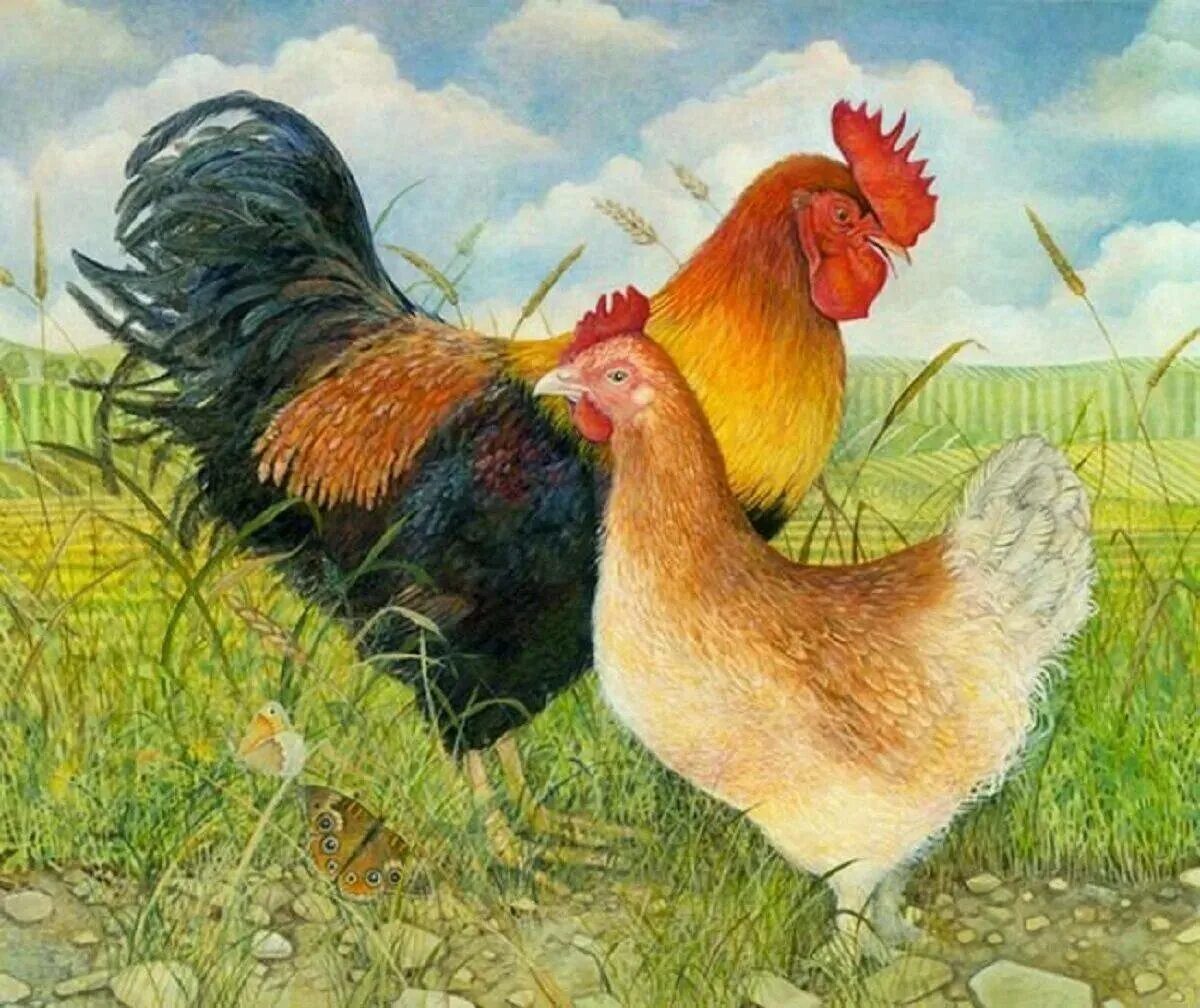 Кура и петушок
