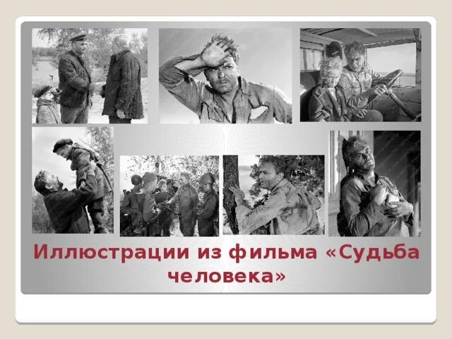 Судьба человека урок в 9 классе. Иллюстрации к судьбе человека шолохова. судьба человека рисунок. коллаж из фотографий тема судьба человека шолохова.