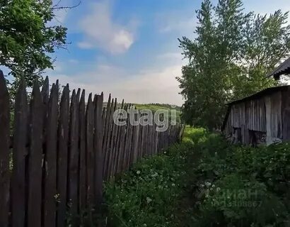 Погода первый бенжереп