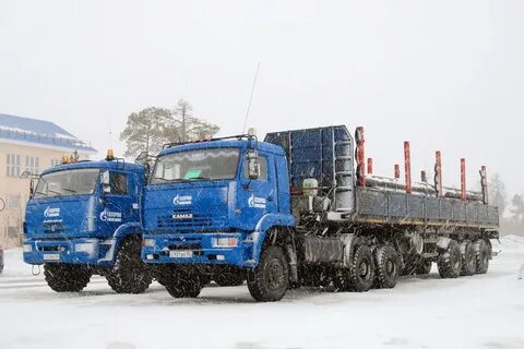 Сах 6