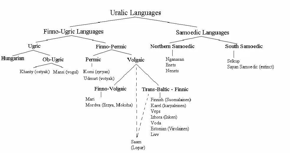 Языки финно угорских народов. Древо Уральской языковой семьи. Уральская языковая семья схема. Языковое Древо финно-угров. Финно угорская языковая семья дерево.