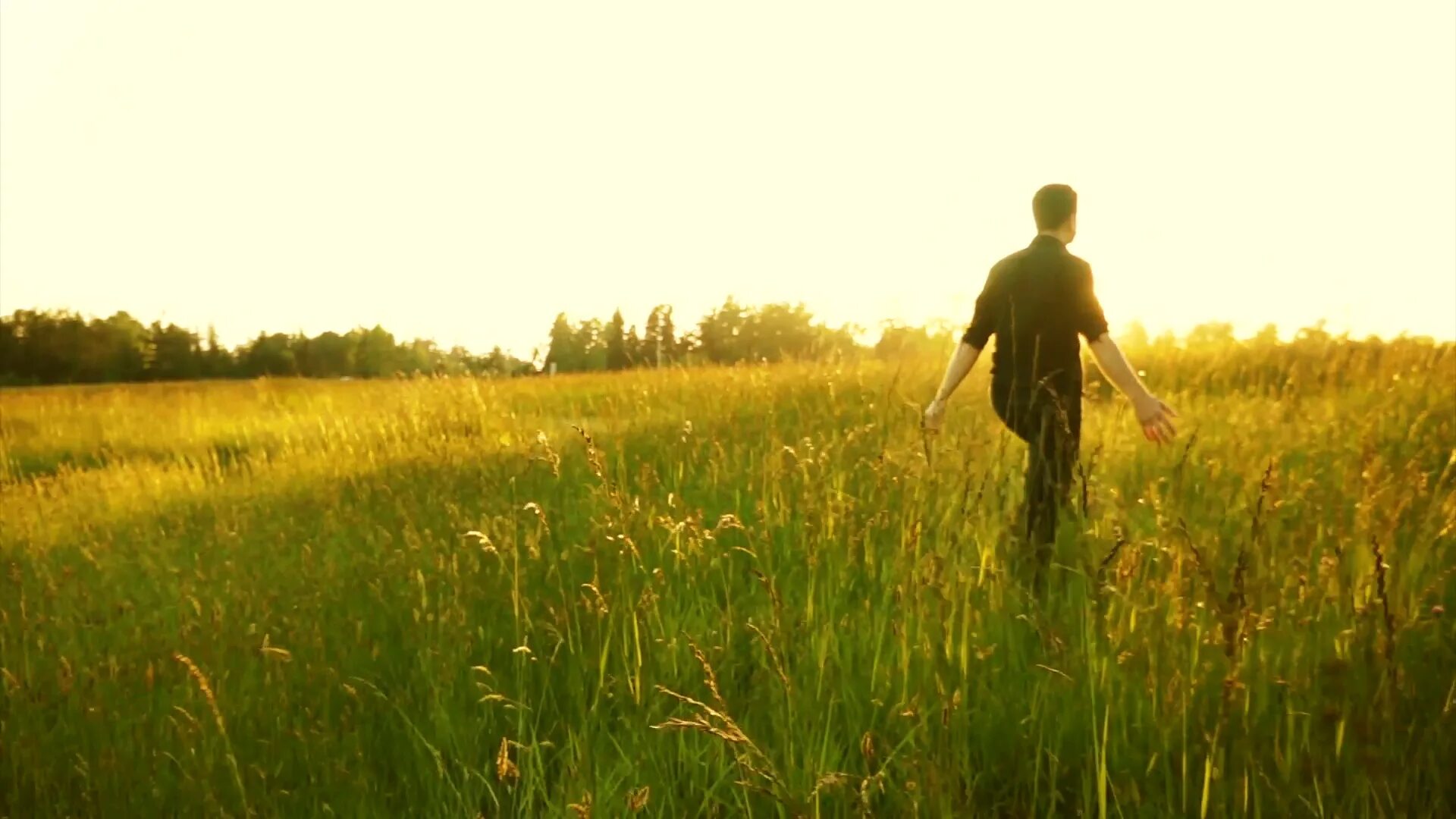 Man in field. Природа личности. Walking man. In the field.