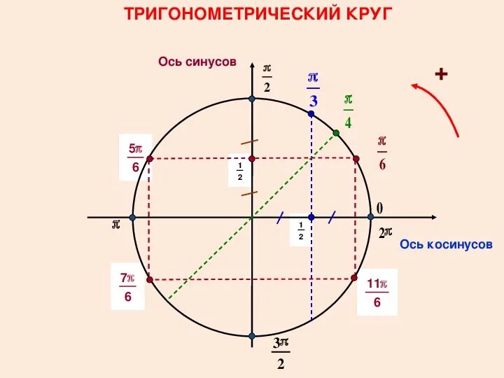 Точки тригонометрического круга. Тригонометрический круг синус. Тригонометрический круг 10 класс Алгебра. Тригонометрический круг ось косинусов. Единичная окружность синус.