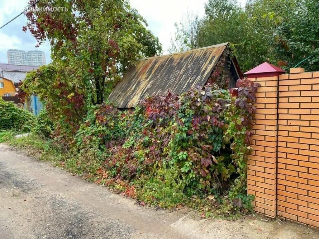 зелёная зона люберцы. снт зеленая зона люберцы. снт зелёная зона некрасовка. снт зеленая зона 447. люберцы территория снт зеленая зона.