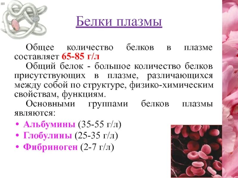 Низкий белок у мужчины. Общая характеристика белков крови биохимия. Основные белки плазмы крови. Общий белок сыворотки плазмы крови норма. Белки плазмы крови биохимия таблица.