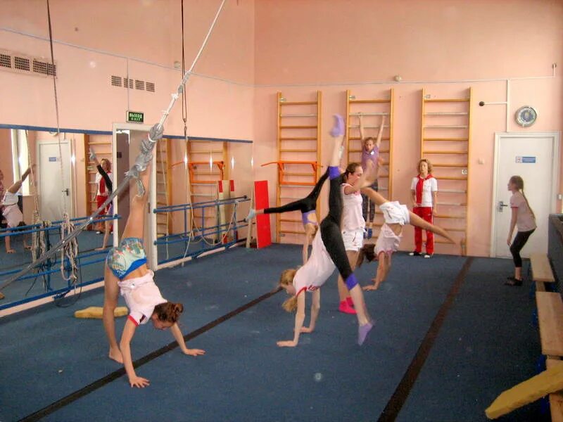 спортивный клуб эланс барнаул. центр спорта приморского района. центр спорта московский. мсг арена новоизмайловский. спортивный центр 7.