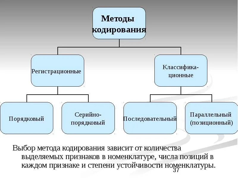 Система кодирования виды. Система кодирования виды