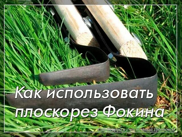 Плоскорез Фокина Фискарс. Как пользоваться плоскорезом Фокина. Плоскорез Фокина как пользоваться. Как пользоваться плоскорезом в огороде. Как пользоваться плоскорезом