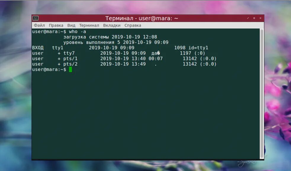 Команды ос linux. Команды терминала linux. команды линукс терминал для начинающих. типы команд в терминале linux. linux основные команды терминала.