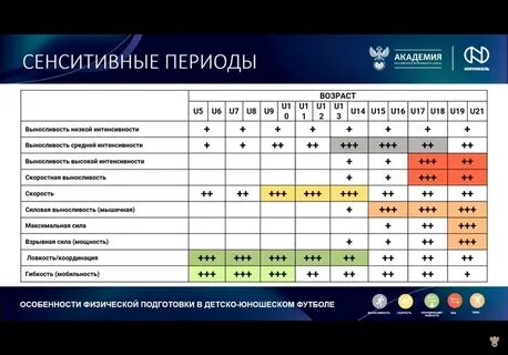 Сенситивные периоды физических качеств