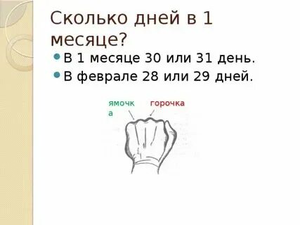 8 месяцев это сколько суток